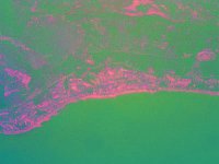 IMGP2905 edited (Medium)